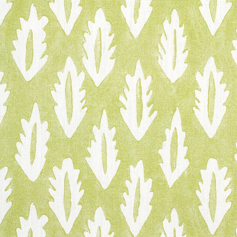 FOREST | Grass Green