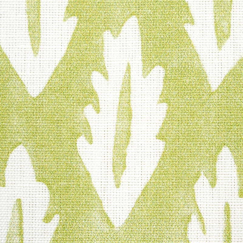 FOREST | Grass Green