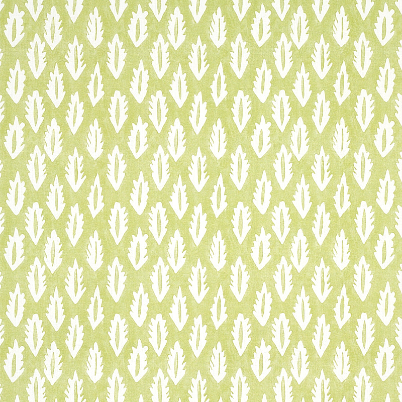 FOREST | Grass Green