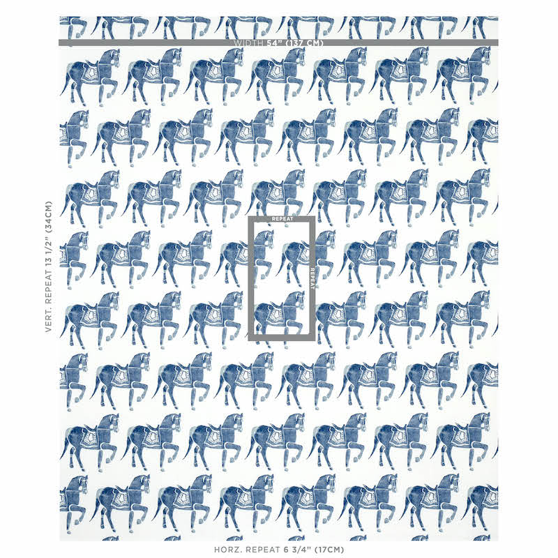 CAVALLO MARWARI | MARINA MILITARE