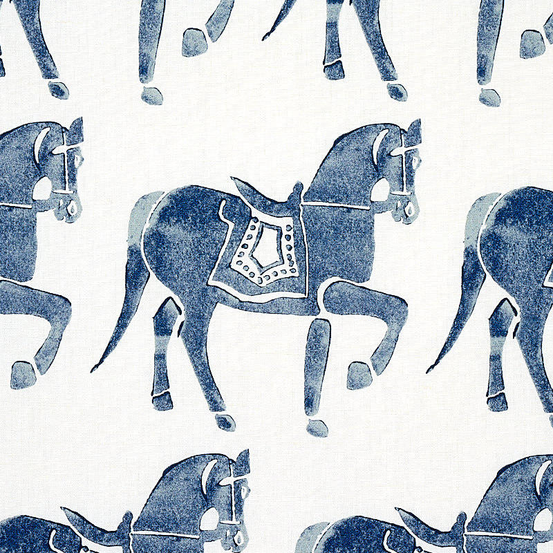CAVALLO MARWARI | MARINA MILITARE