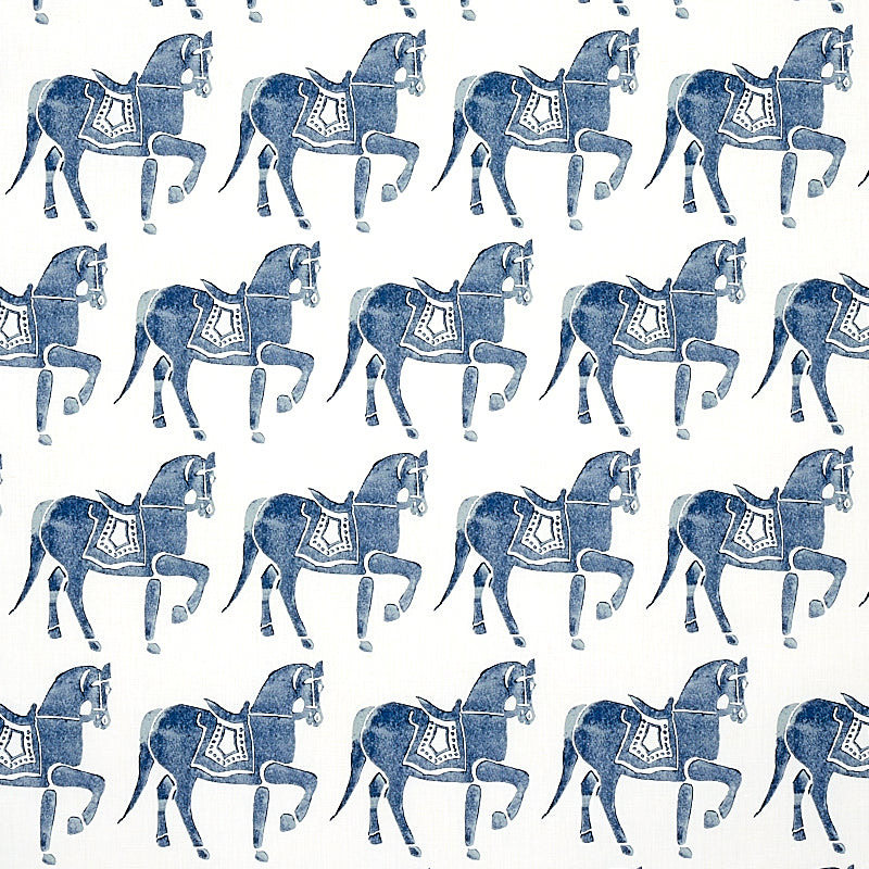 CAVALLO MARWARI | MARINA MILITARE