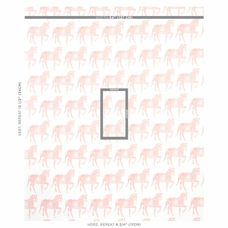 CAVALLO MARWARI | ROSA