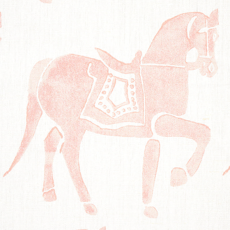 CAVALLO MARWARI | ROSA