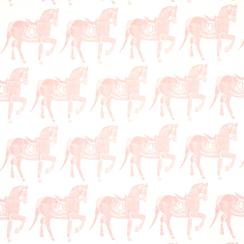 CAVALLO MARWARI | ROSA