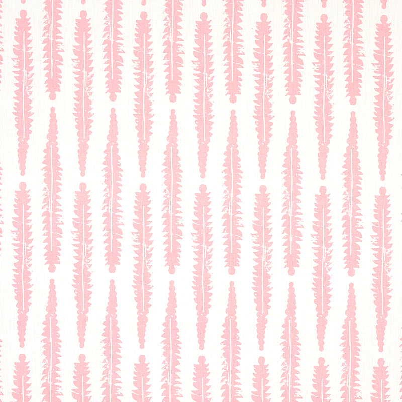 FELCE | ROSA