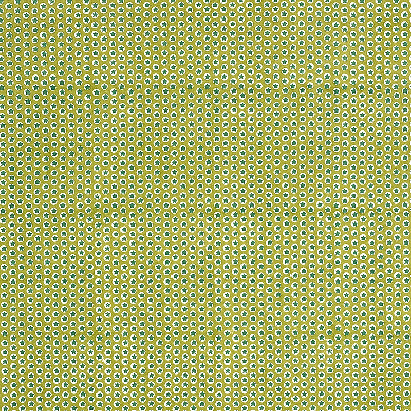 TUK TUK HAND BLOCK PRINT | Green