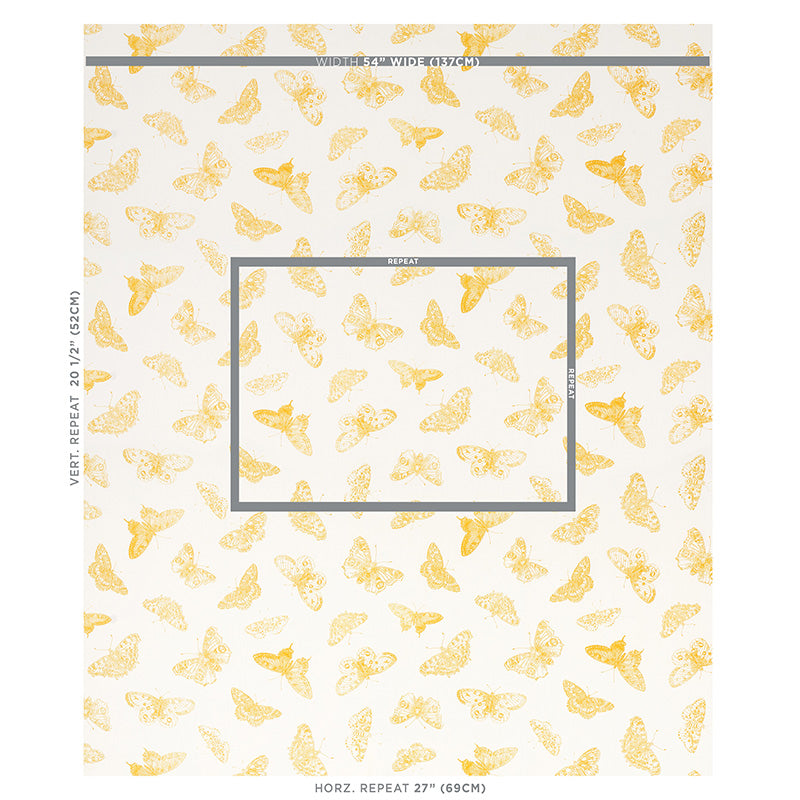 FARFALLA BURNELL | GIALLO
