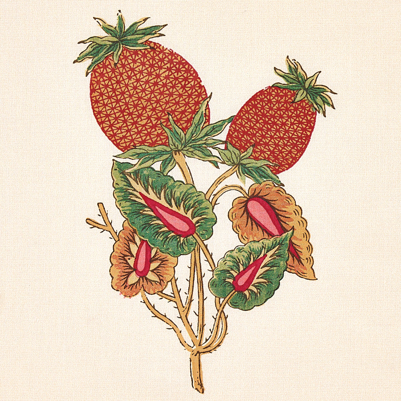 STRISCIA SERVILIA | CAMMELLO