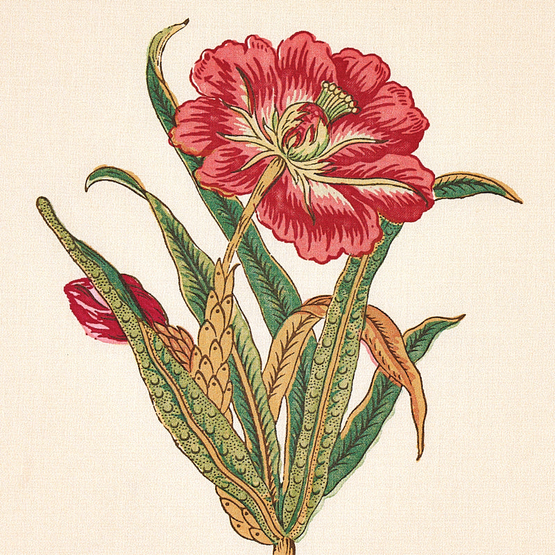 STRISCIA SERVILIA | CAMMELLO