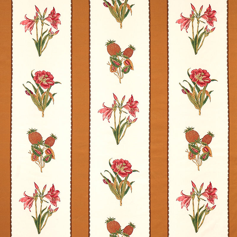 STRISCIA SERVILIA | CAMMELLO