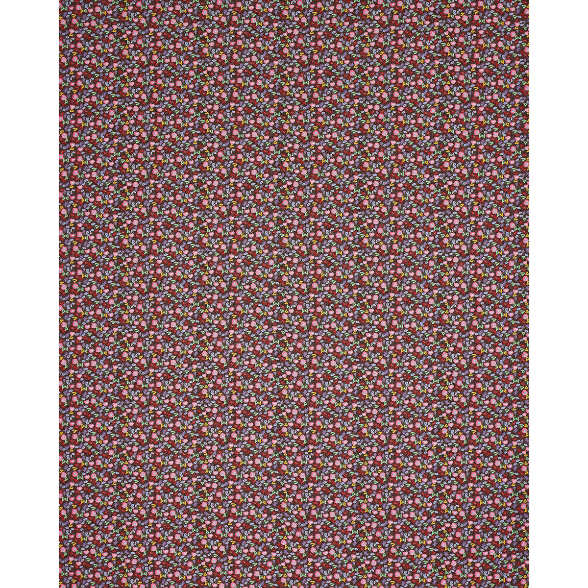 CALICO | Multi On Brown