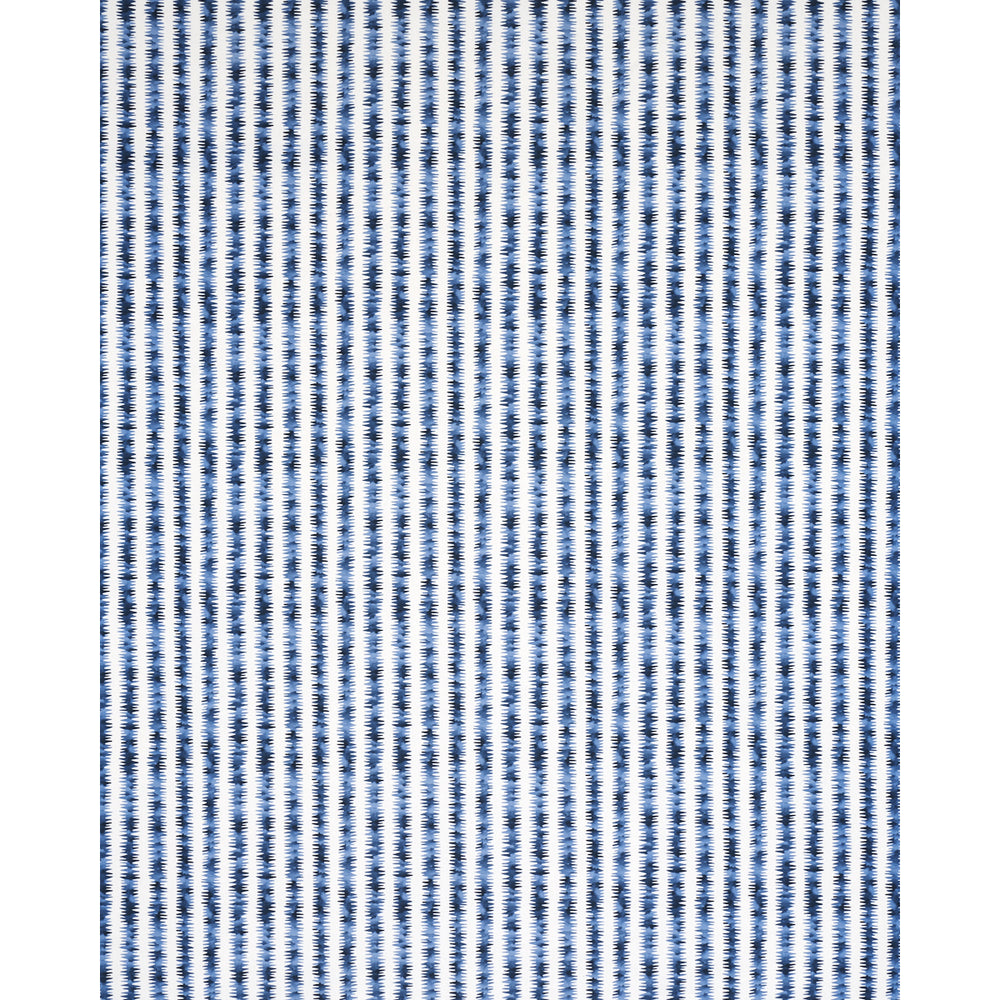 CARDIOGRAMMA | BLU