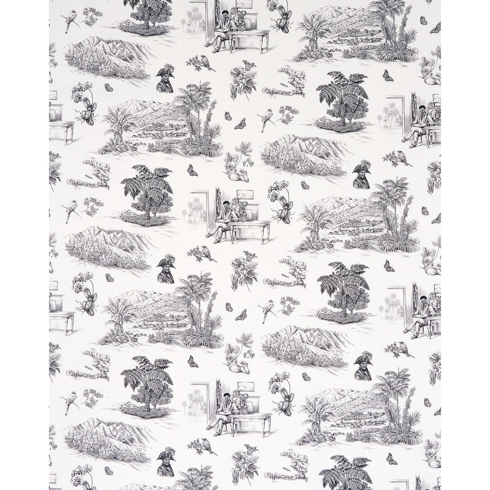TOUSSAINT TOILE | Black