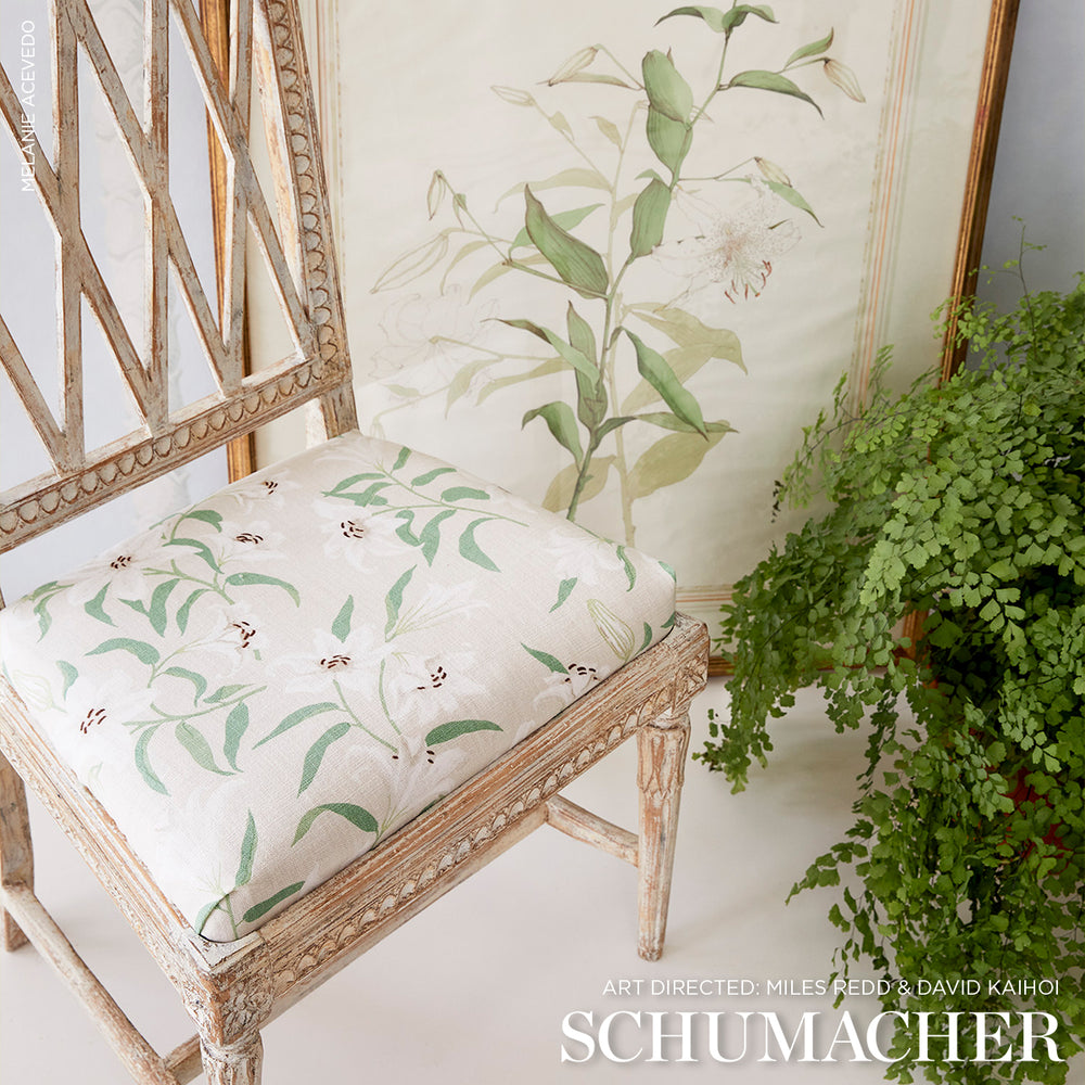 GIGLI SPARGITI | CREMA