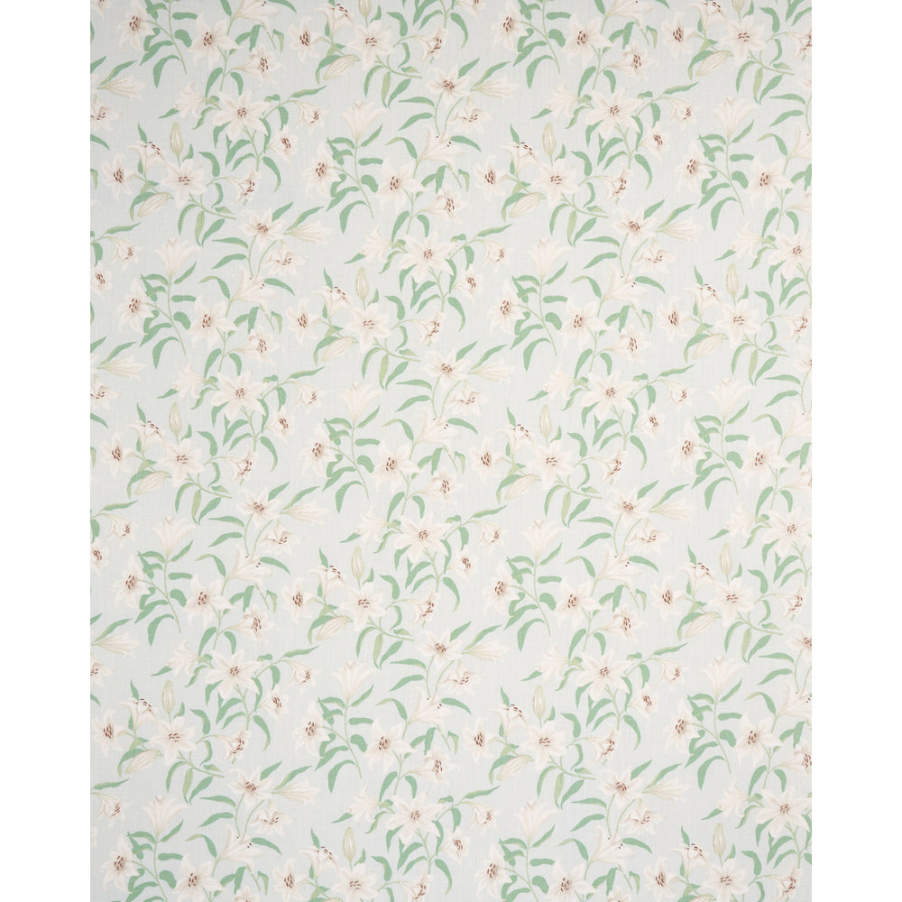 GIGLI SPARGITI | CIELO