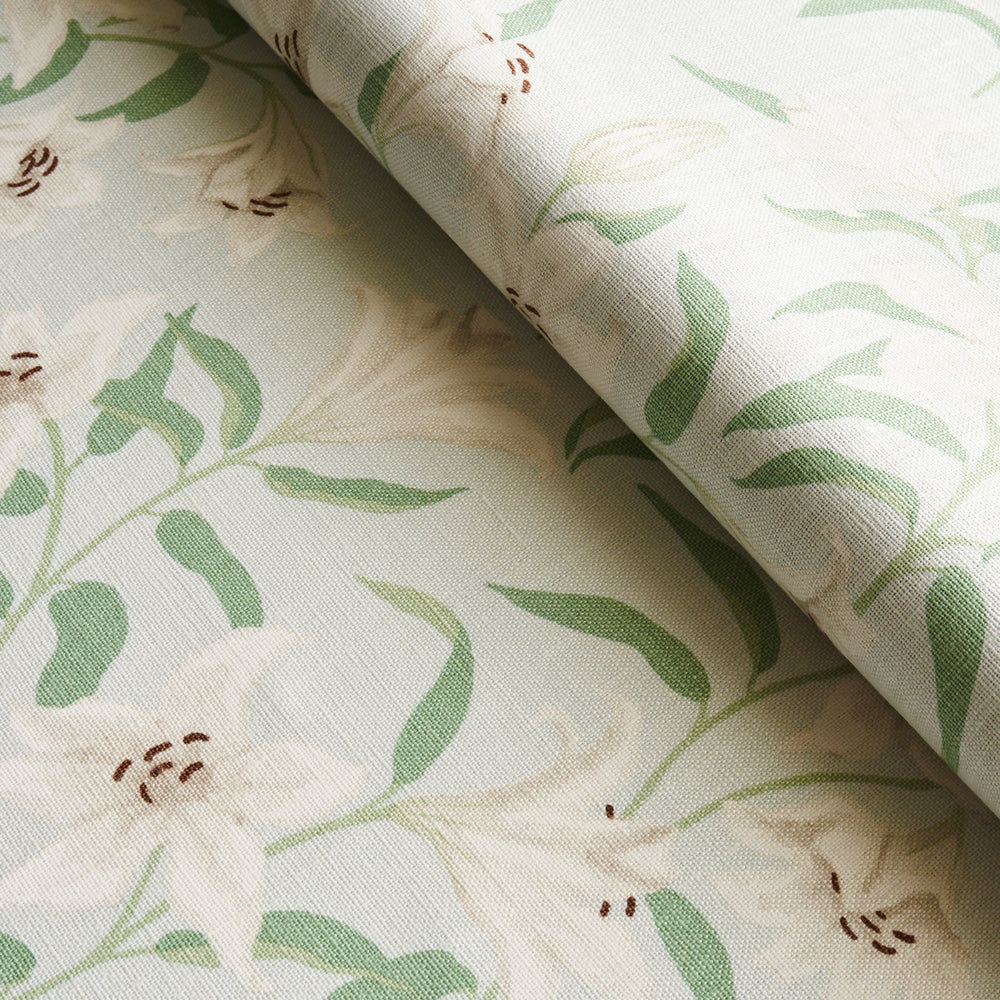 GIGLI SPARGITI | CIELO