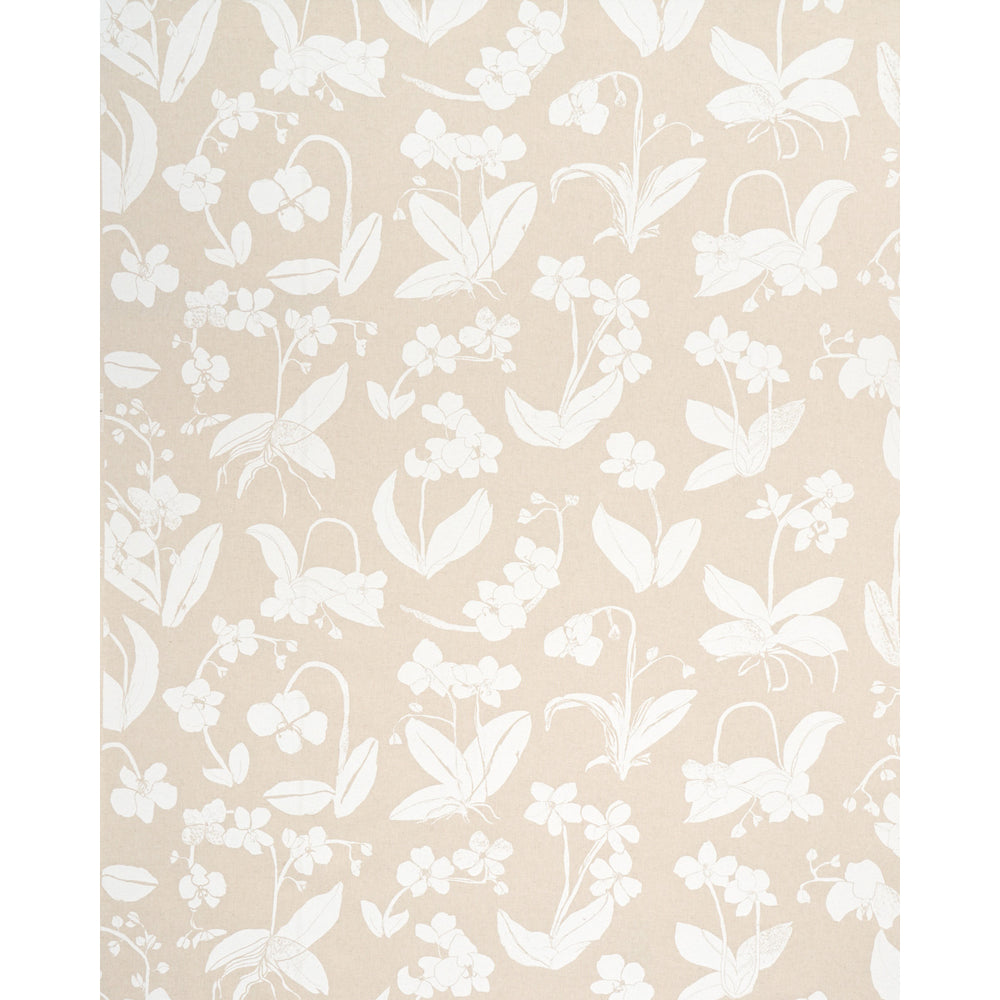 ORCHIDS HAVE DREAMS | Light Neutral