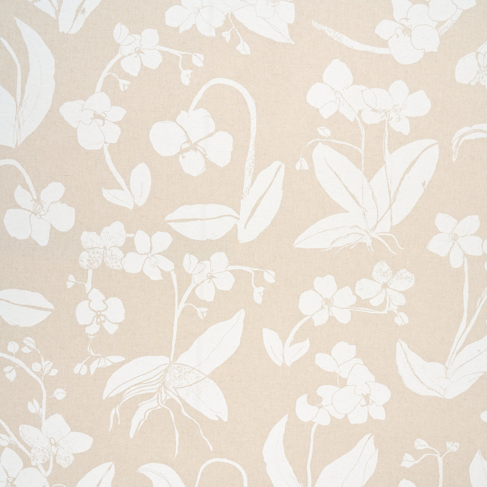 ORCHIDS HAVE DREAMS | Light Neutral