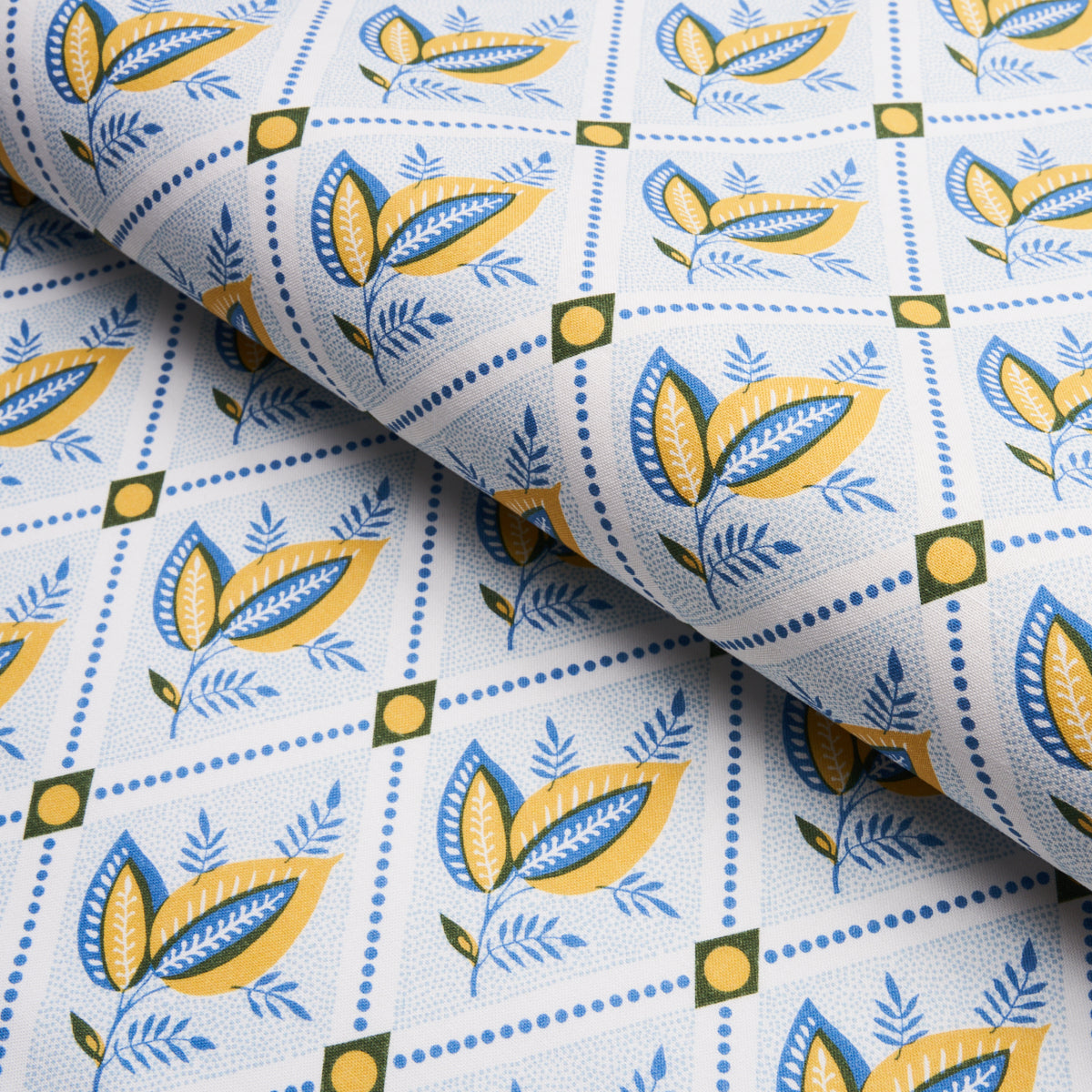 TRALICCIO DI BASILE | GIALLO E BLU