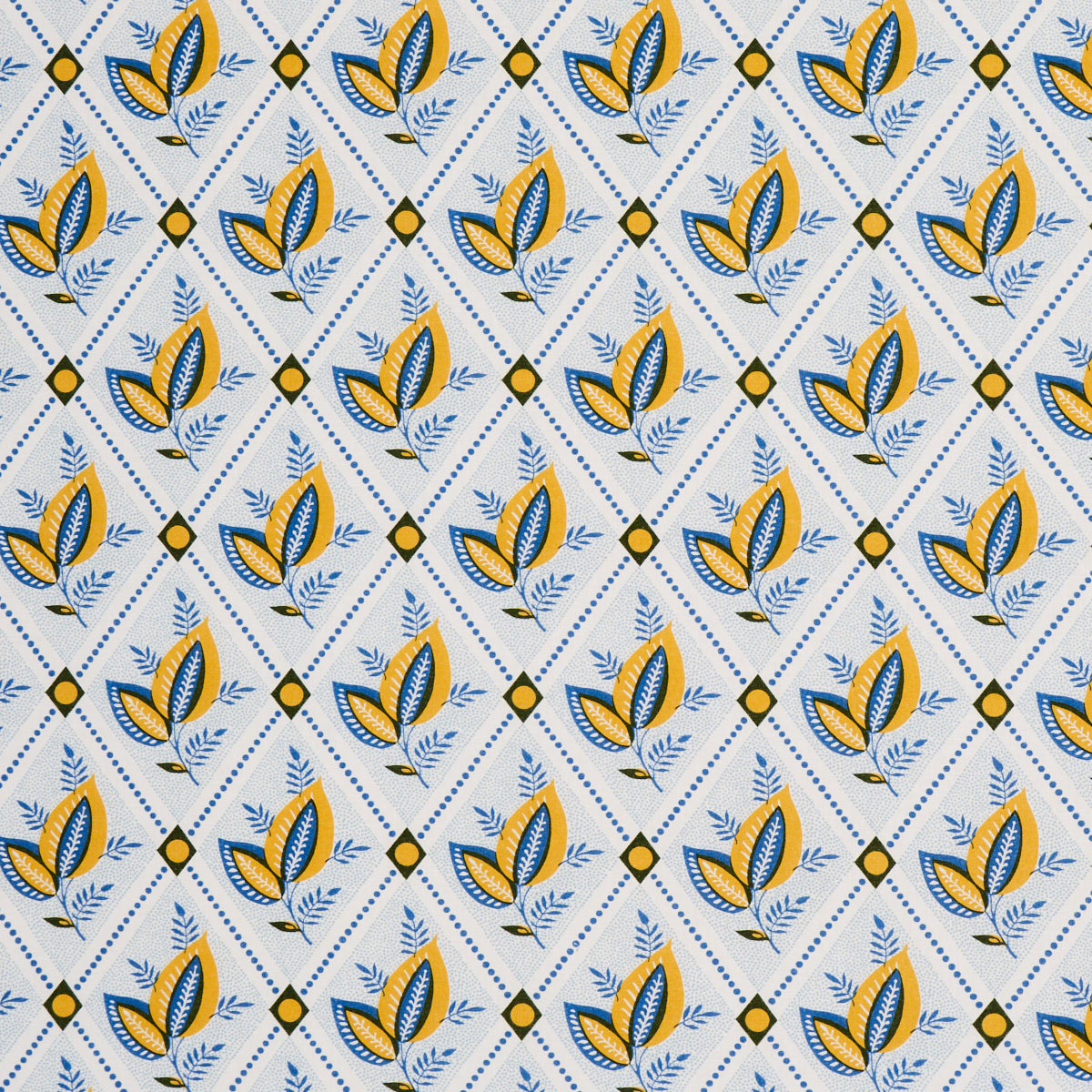 TRALICCIO DI BASILE | GIALLO E BLU