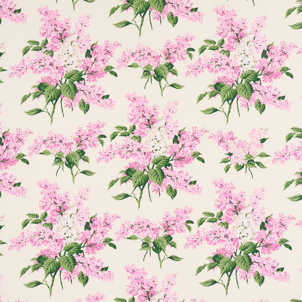 PROUST'S LILACS | Pink