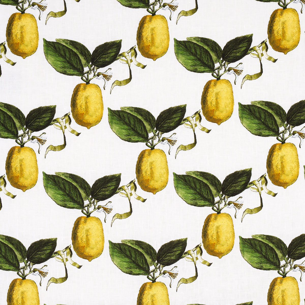 IL CEDRO | AVORIO