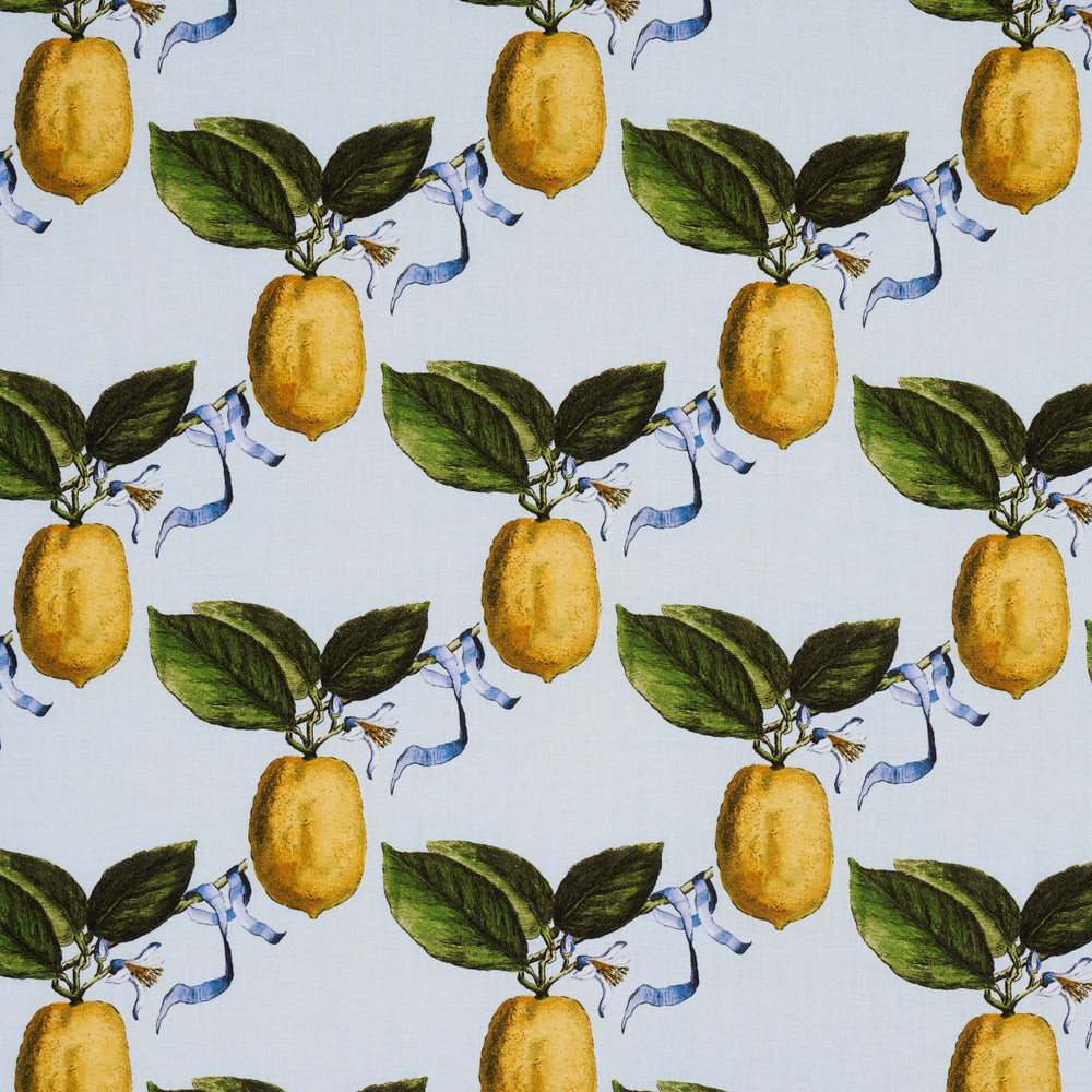 IL CEDRO | CIELO