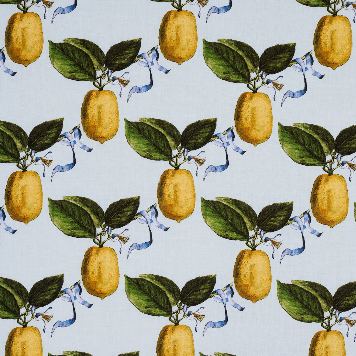 IL CEDRO | CIELO