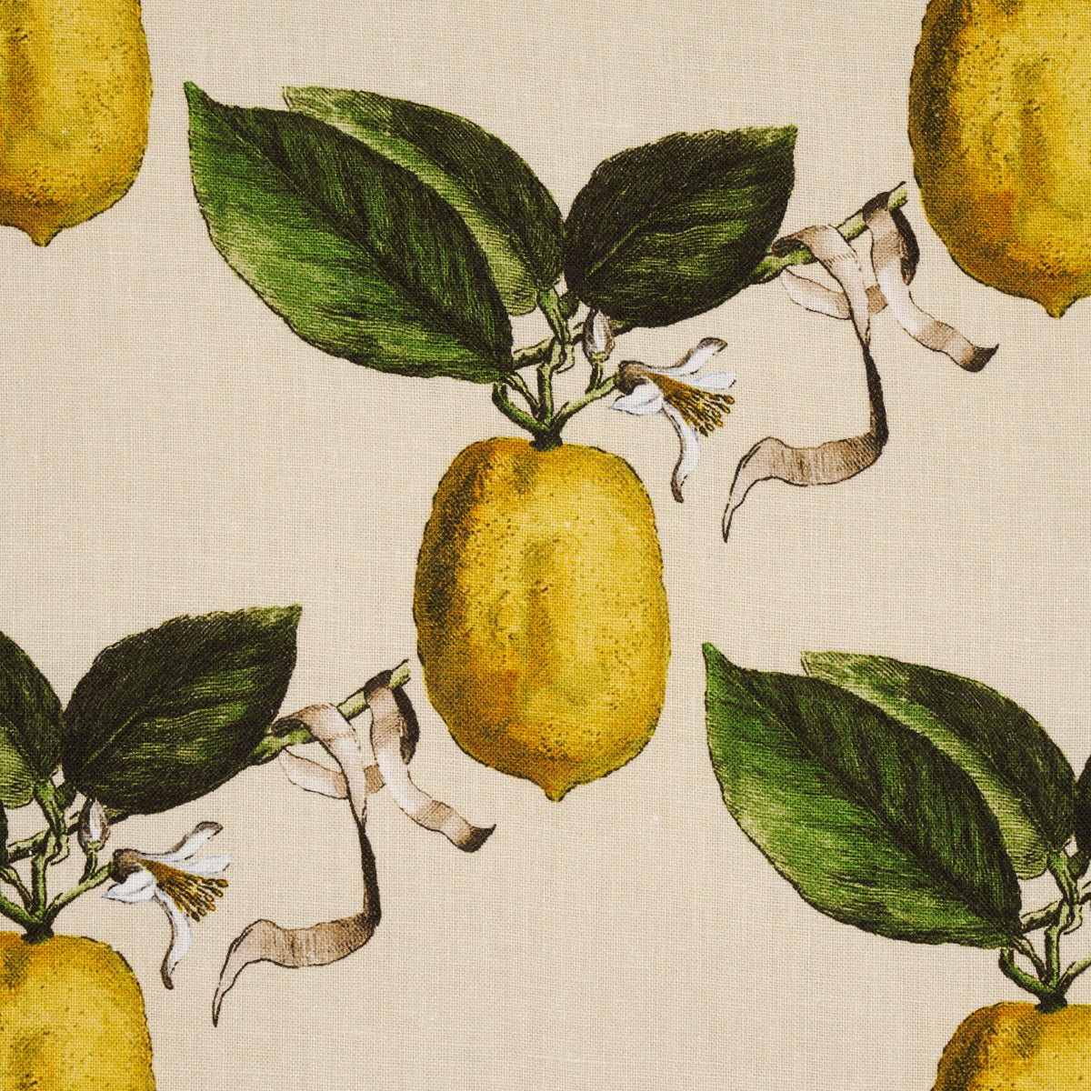 IL CEDRO | NATURALE