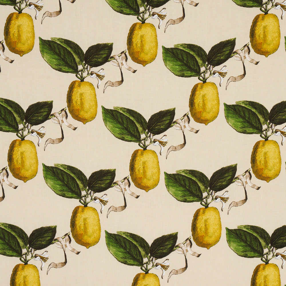 IL CEDRO | NATURALE