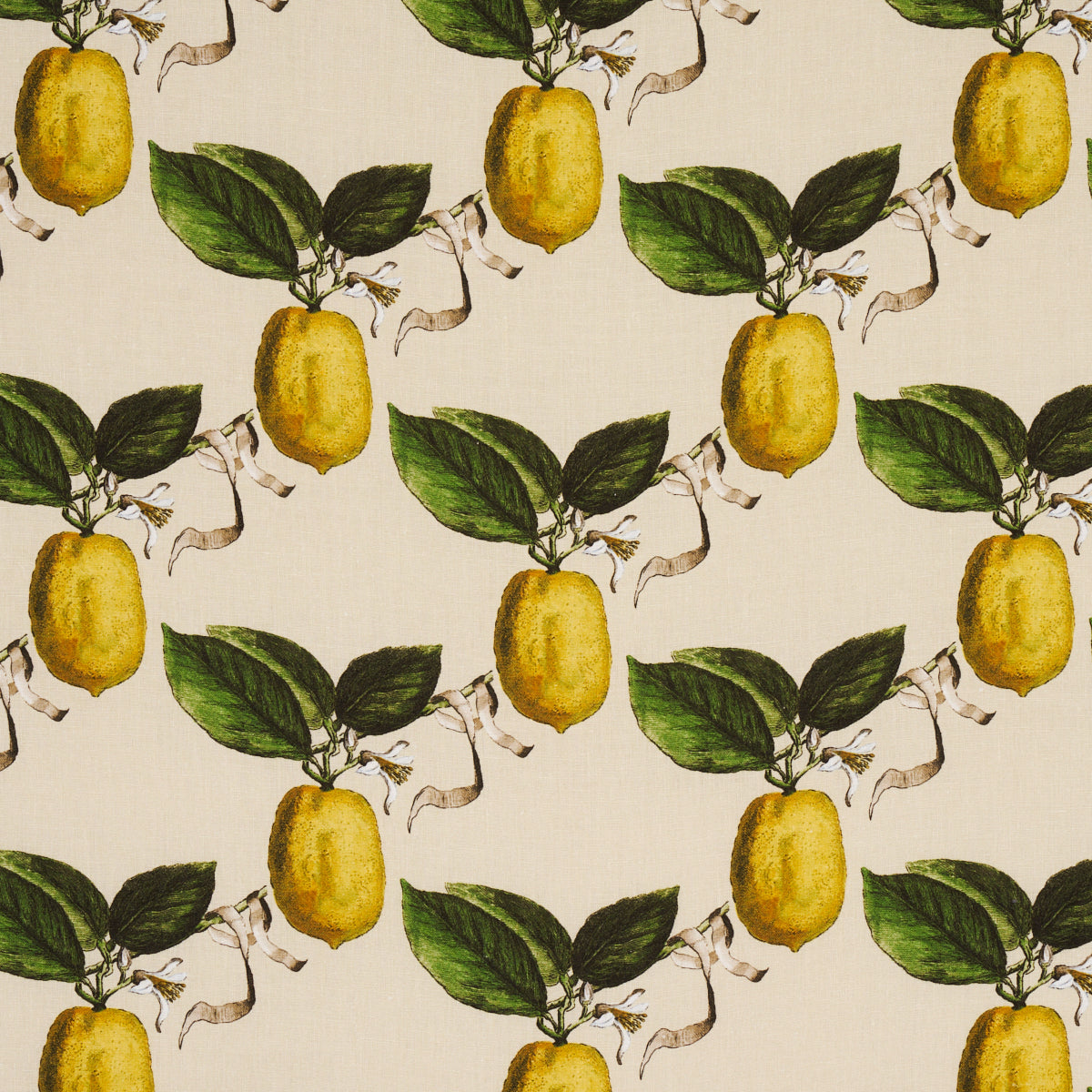 IL CEDRO | NATURALE