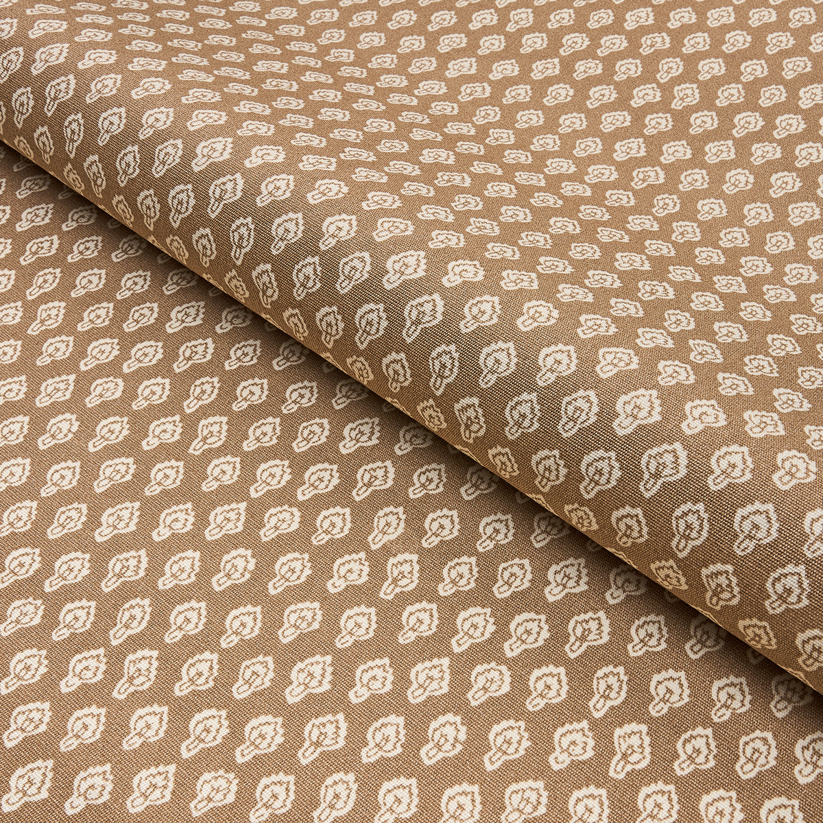 GIACINTO INTERNO/ESTERNO | NEUTRO