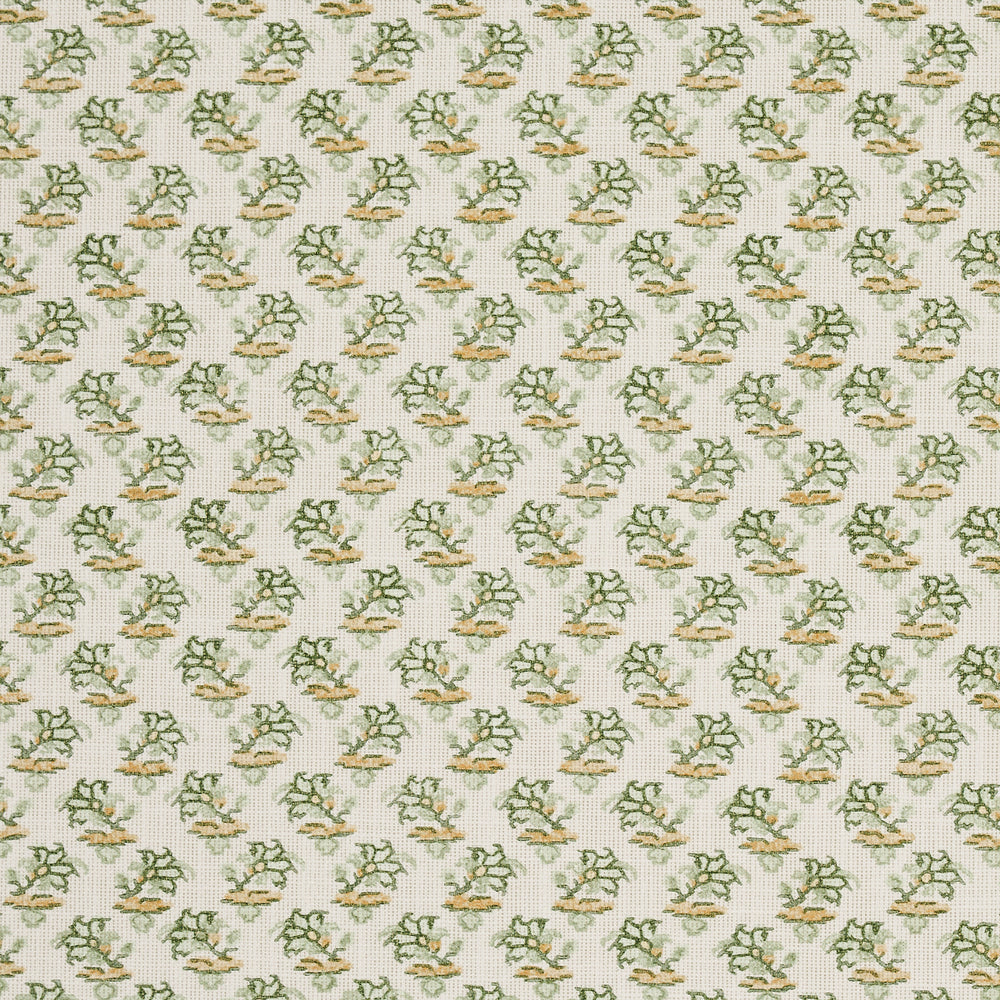 OLEANDRO INTERNO/ESTERNO | VERDE FOGLIA