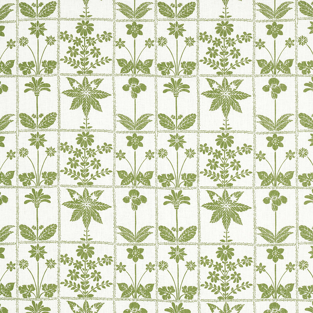 GEORGIA WILDFLOWERS | Leaf