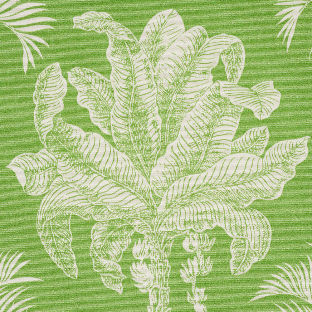 GRANDI PALME INTERNO/ESTERNO | VERDE