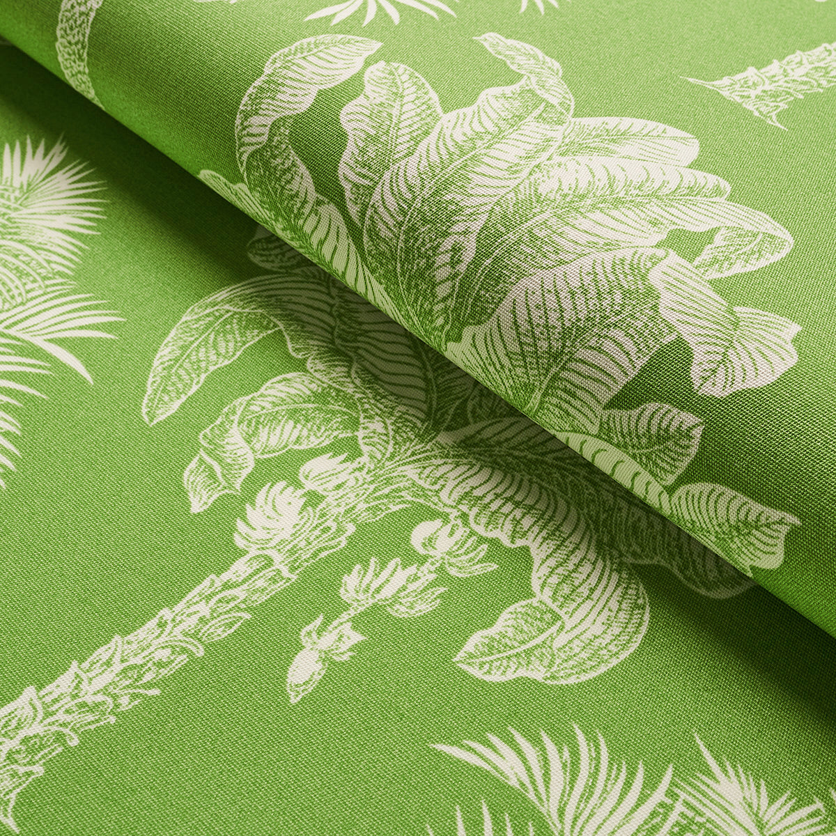 GRANDI PALME INTERNO/ESTERNO | VERDE