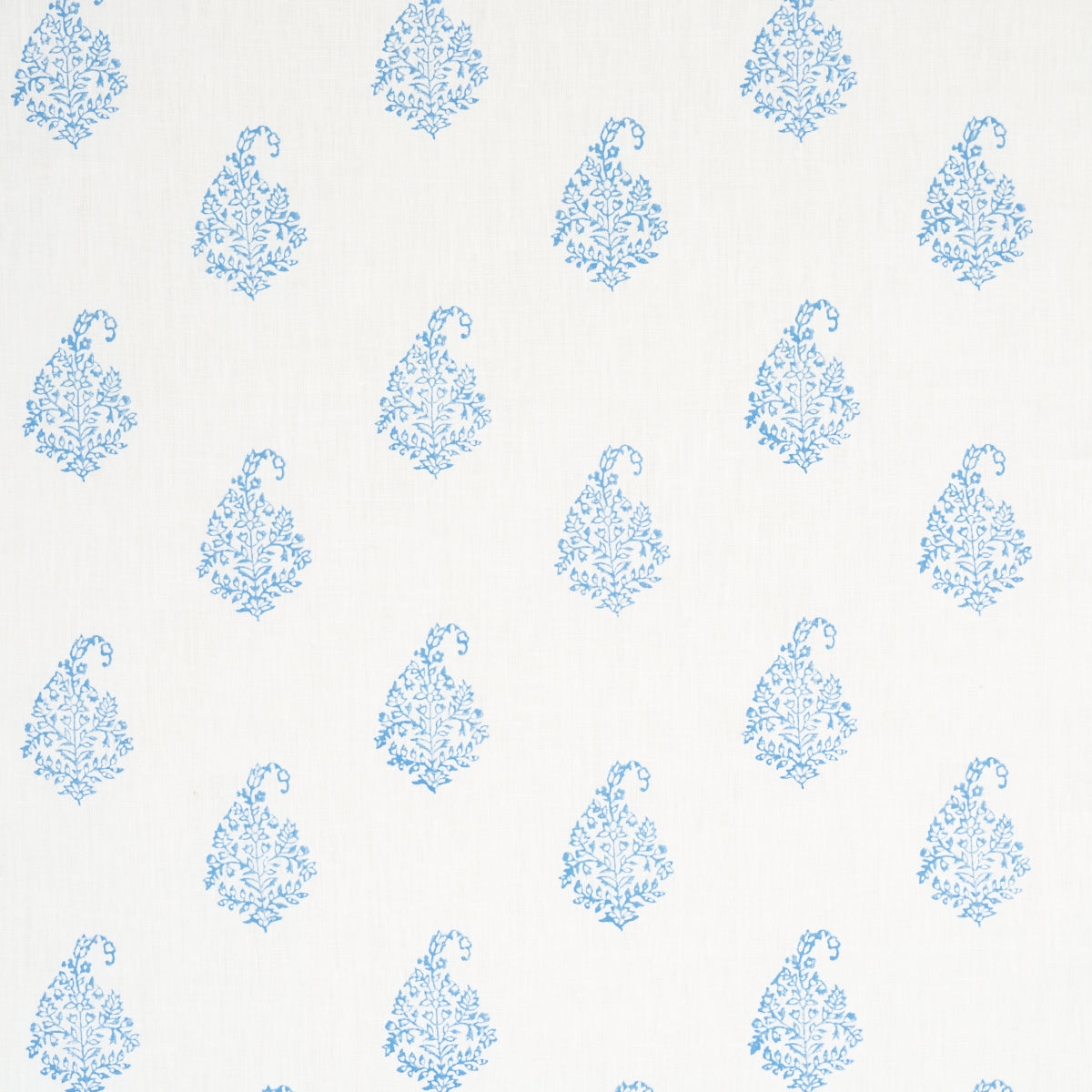 KERALA PAISLEY | BLU