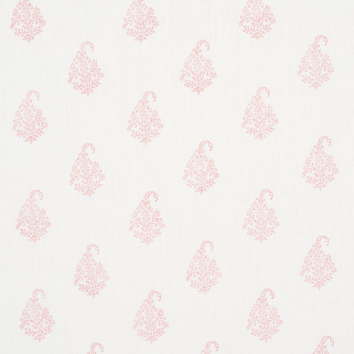 KERALA PAISLEY | ARROSSIRE
