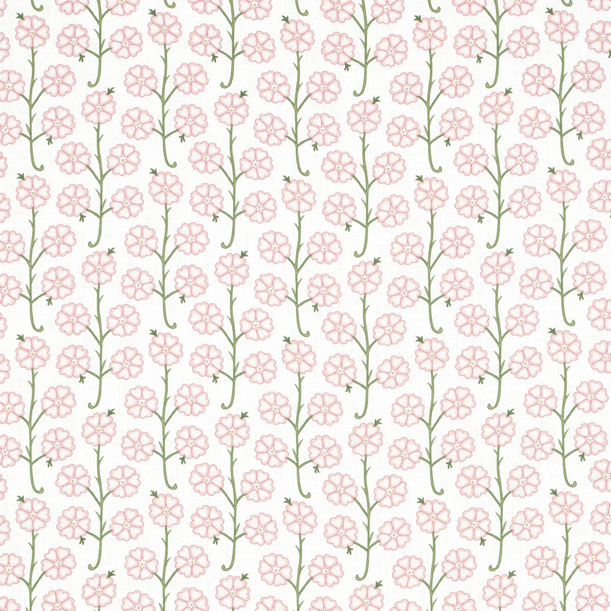 GARDENIA | Rose