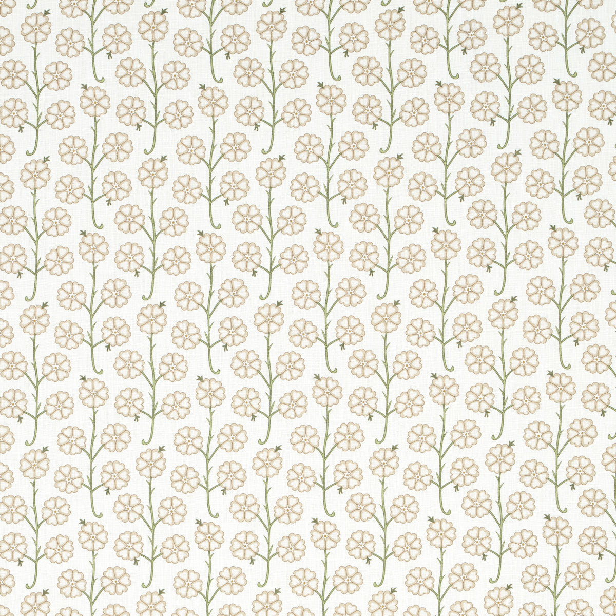 GARDENIA | LINO