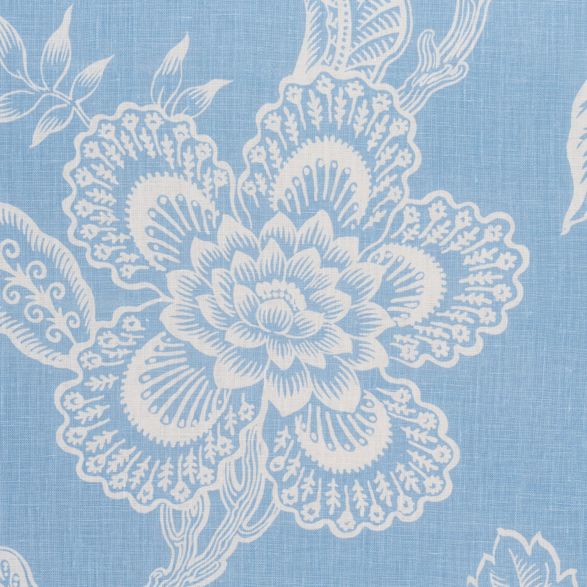 SILHOUETTE DI FIORI DI SERRA | BLU BELATO