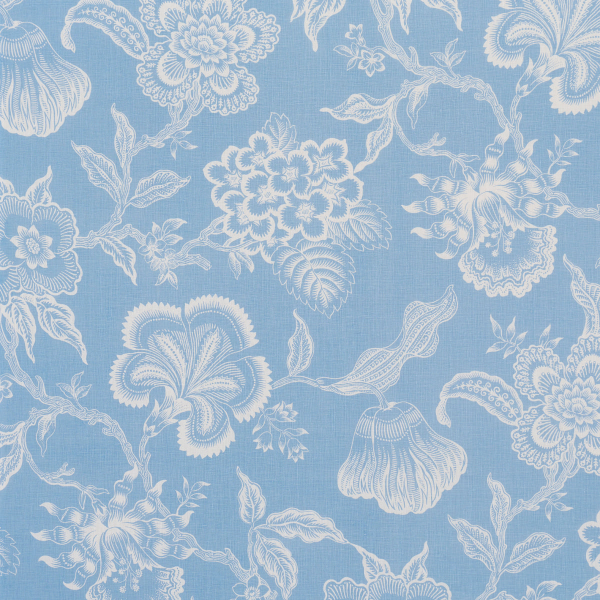 SILHOUETTE DI FIORI DI SERRA | BLU BELATO