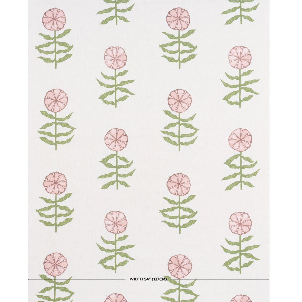 PETALI GRAZIOSI | ARROSSIRE