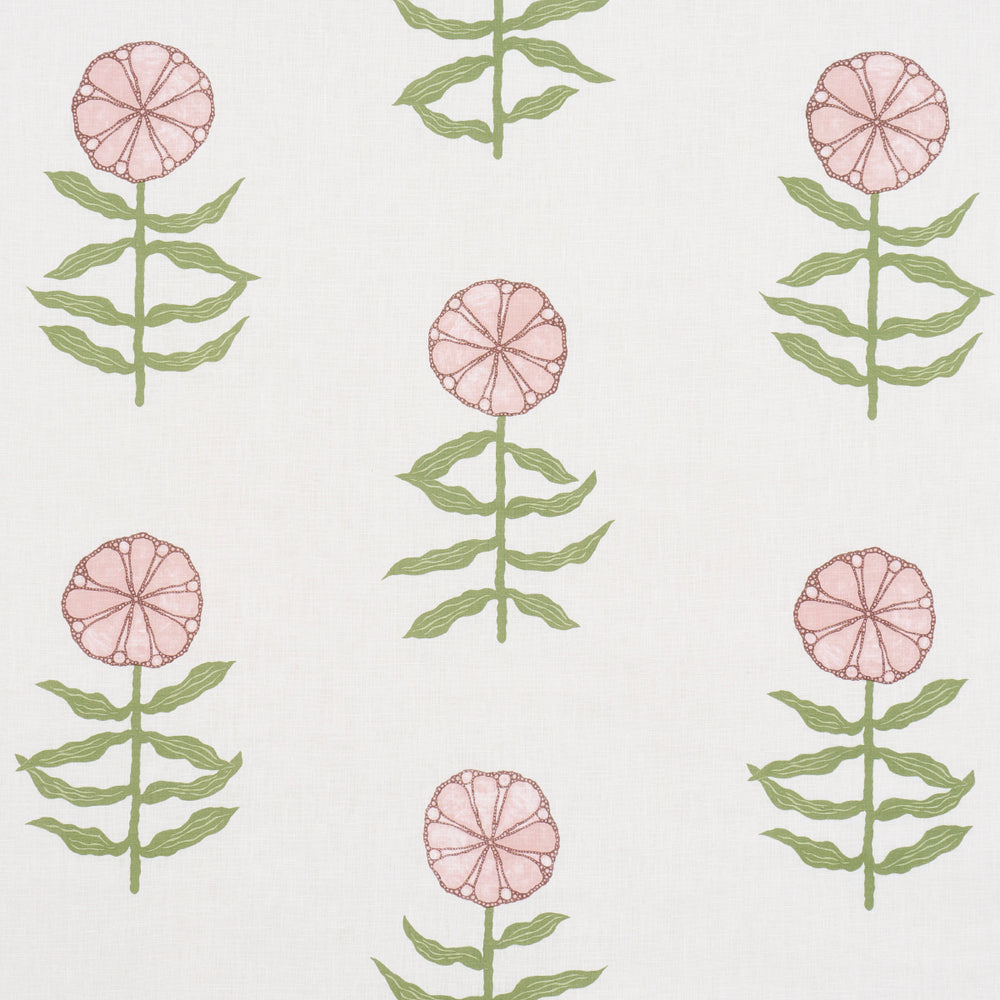 PETALI GRAZIOSI | ARROSSIRE