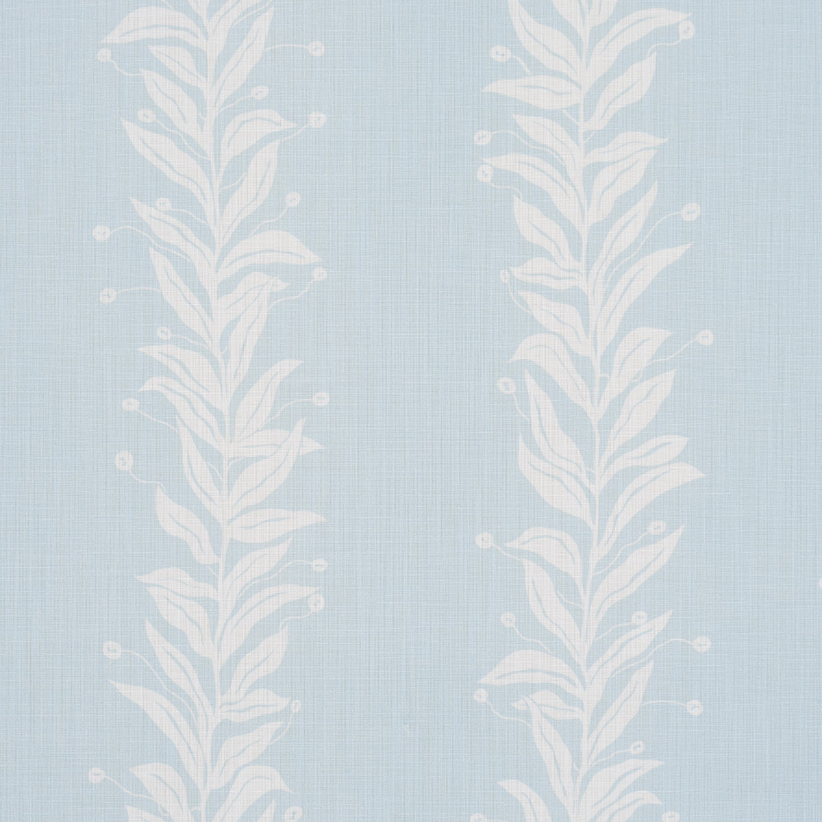 TENDRIL STRIPE INTERNO/ESTERNO | CIELO