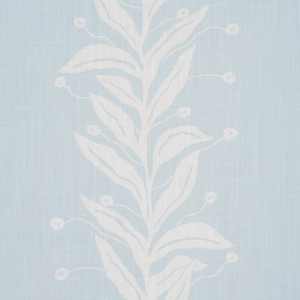 TENDRIL STRIPE INTERNO/ESTERNO | CIELO