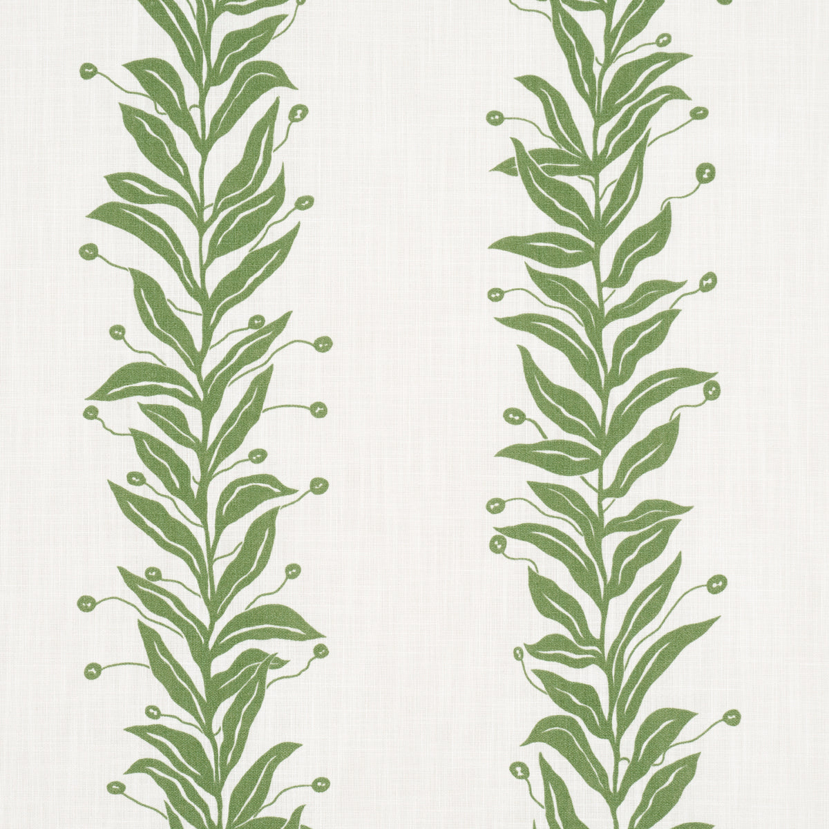 TENDRIL STRIPE INTERNO/ESTERNO | FOGLIA