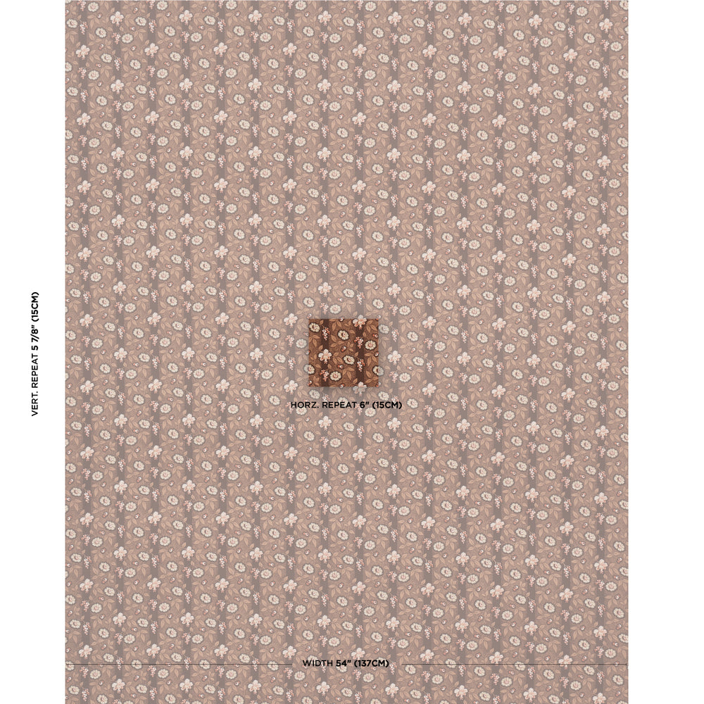 LA RUE STRISCIA | COGNAC