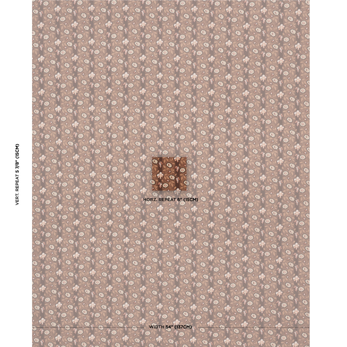 LA RUE STRISCIA | COGNAC